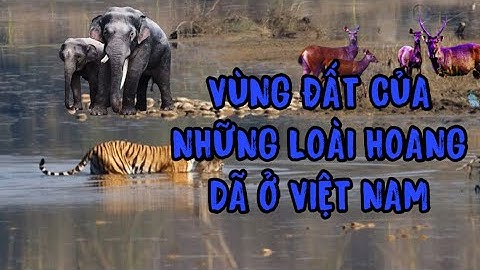 Vườn quốc gia Cát Tiên, truyền thuyết về vùng đất của các loài hoang dã. Paradise for wildlife in VN