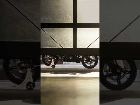 Video thumbnail: Article video