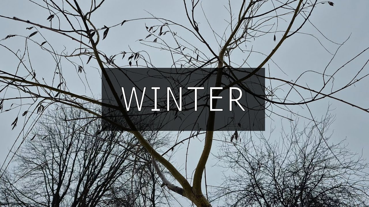 Laurence O'Reilly - Winter [lofi beat + spoken word rap]