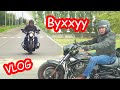 VLOG В конный клуб с ветерком