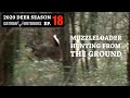 Finding the Deer on Acorns Between Thickets - 2020 Deer Season Ep 18