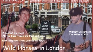 Wild Horses in London - Jerry Garcia Celebration August 1998 (3 of 6)