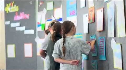 Internalising and externalising behaviours