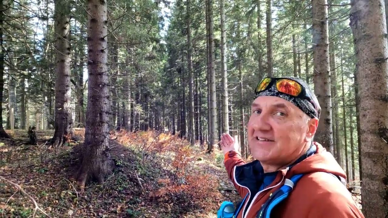 Vom Hochschwab bis zum Ötscher hin. Neues Musikvideo Gerald Scheickl.