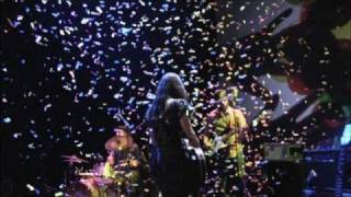 Video thumbnail of "Feist - Look At What The Light Did Now - DVD trailer"