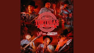 Vas a Llorar (En vivo) - Las Tortugas del Norte