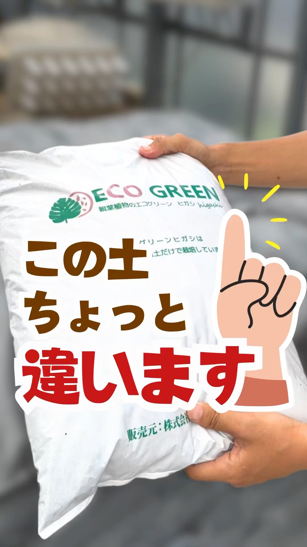 エコ様 リクエスト 2点 まとめ商品 This soil is a little different [Houseplants] - YouTube