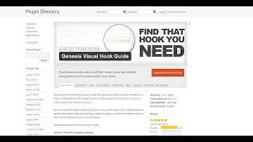 Genesis Visual Hook Guide