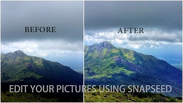 How to Use Snapseed - The Basics