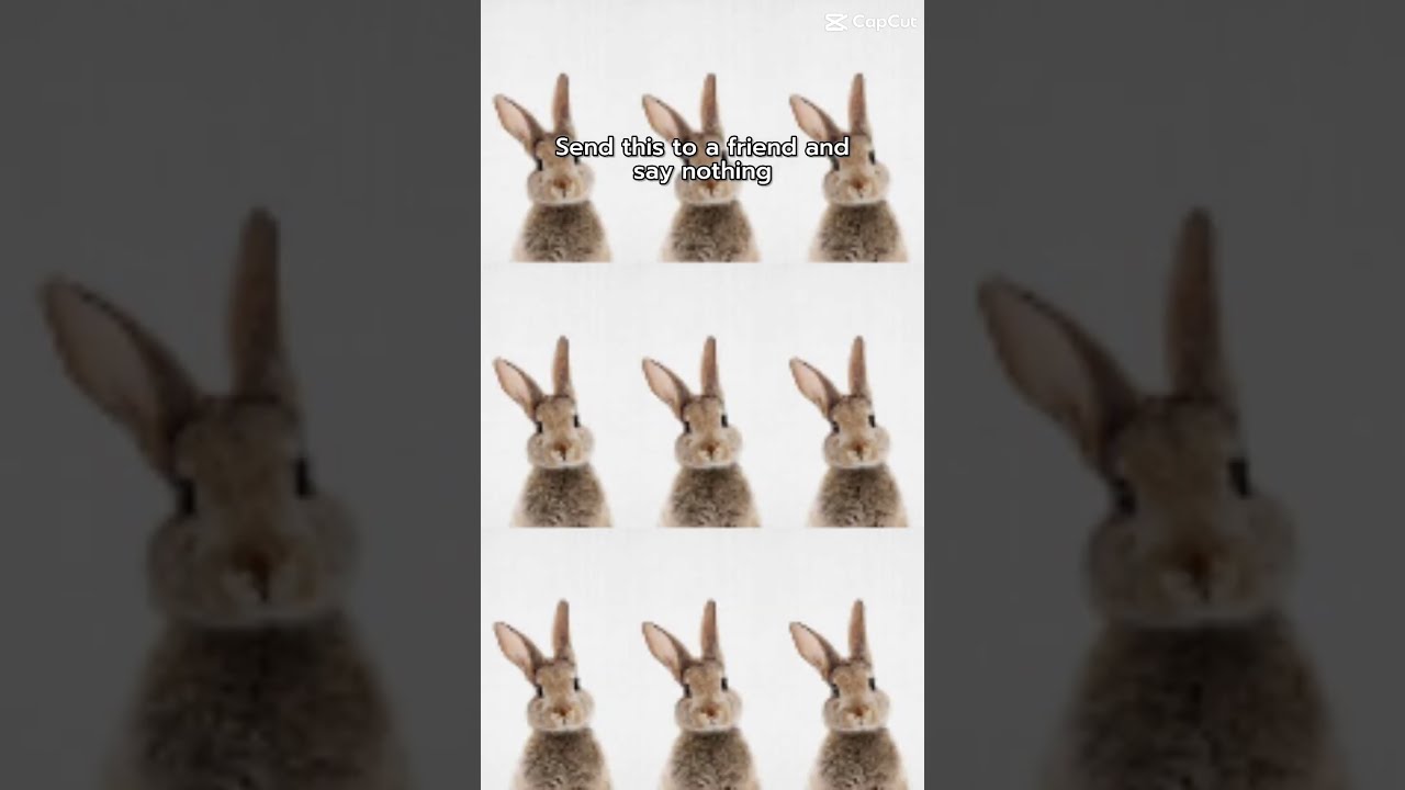 Send This To A Friend With No Context YouTube Send This To A Friend With No Context YouTube