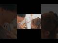 バカになっていこう #セカンドバッカー #喧嘩するほど #つーさんとゆっぴ  #バンド #musicvideo #shorts