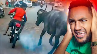 TRY NOT TO LAUGH 😂 Best Funny Videos Compilation 😂😂 Memes PART 3 | top 10 reaction