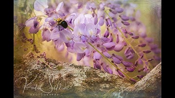 Setting Up a Workspace in Photoshop CC