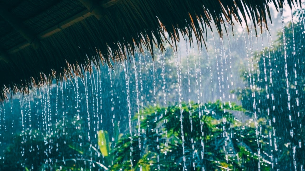 Deep Night Rain Ambience and Gentle Thunder for Deep Rest