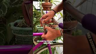 Cara Lepas Dan Pasang Stem Bango Atau Quill Stem