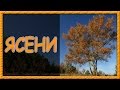 Українські пісні онлайн. Ясени