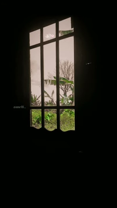 Story WA - Hobbo Ganna ( cover Menna Tarek )