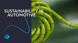 Introducing Sustainability in Automotive