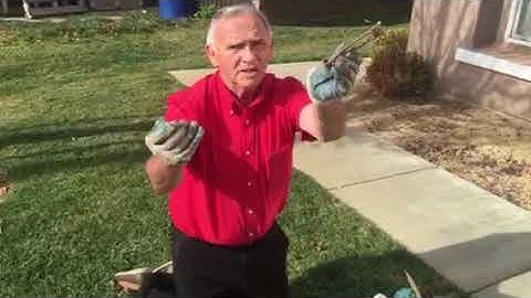How Go-Pher Jack catches gophers with the Macabee traps