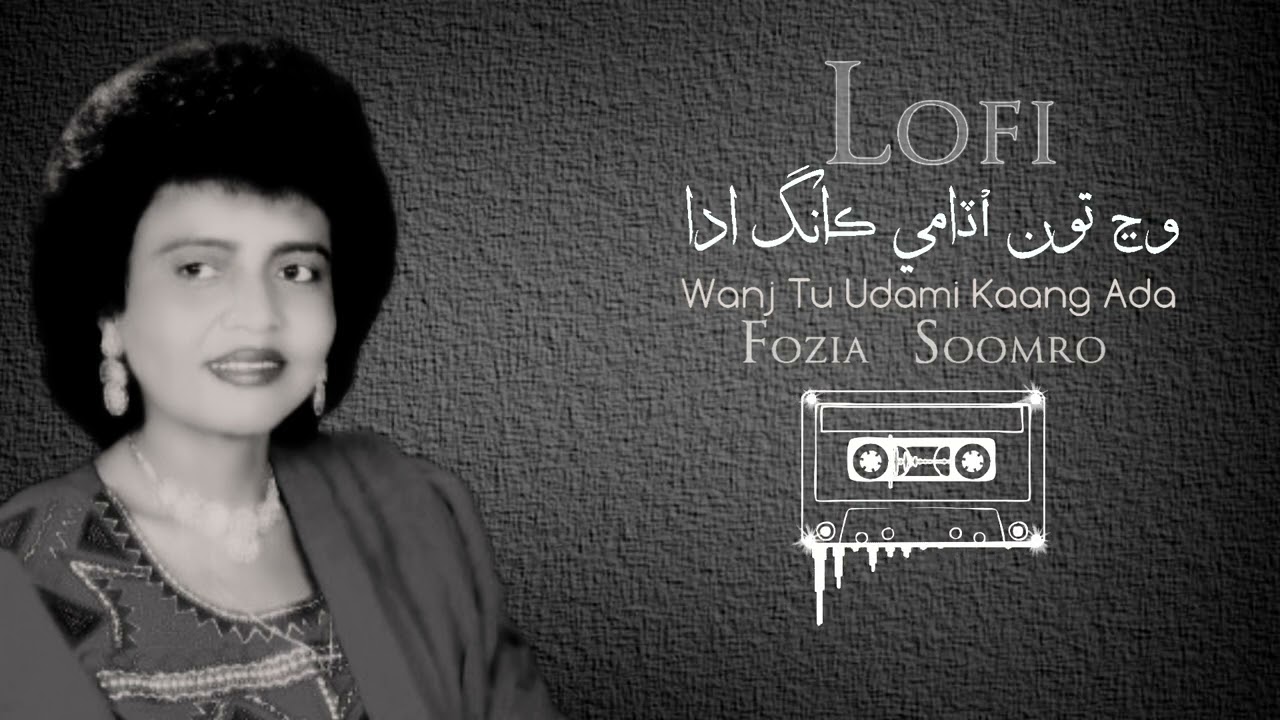 Wanjhe_Tun_Udami_Kangh_Ada_Sindhi_Reverb_Songs 🤞♥️ || 