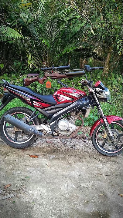 story'bedilers #berburu #hunting #shooting #statusvideo #shooter #shortvideo #capcut #shortsvideo