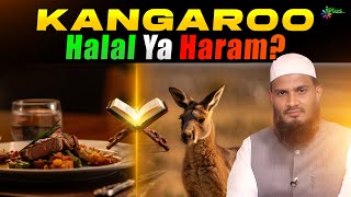 Kangaroo Ka Gosht Khana Halal Ya Haram? By Dr. Mohammad Naseem Madani Iplus Tv Deeni Q&A