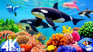 Aquarium 4K VIDEO (ULTRA HD)  Beautiful Coral Reef Fish - Relaxing Sleep Meditation Music #23