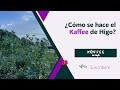 TODO lo que quieres saber del Rancho Agrícola La Gavia | ¿Cómo se hace el Kaffee de Higo?😱