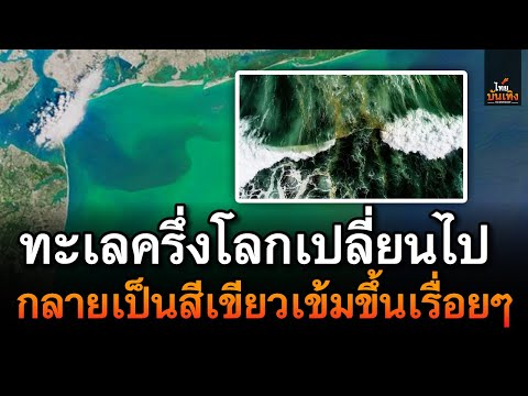 วีดีโอ: โรคระบาด ความอดอยากอย่างรุนแรง และโรคระบาด: วิธีต่อสู้กับโรคระบาดในรัสเซีย