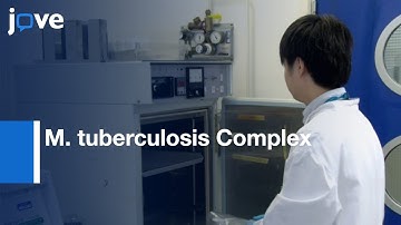 G. mellonella as a Model to Study the M. tuberculosis Complex | Protocol Preview