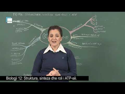 Biologji 12 - Struktura, sinteza dhe roli i ATP-së (1)