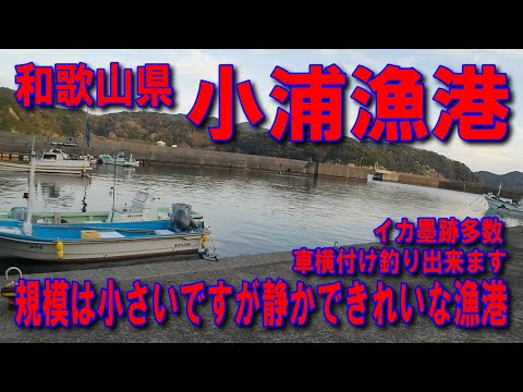 #170和歌山県小浦漁港投げサビキ釣りイカ墨跡多数京奈和自動車道無料区間岩出根来本線料金所和歌山JCT阪和自動車道和歌山IC海南IC有田IC湯浅御坊道路川辺IC国道42号ファミリーマート日高萩原店交差