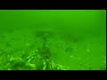 Underwater Tour of Huntington Beach Fishing Pier 4K-HD