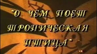 Колибри в программе "О чём поёт тропическая птица". 1994 г. (09.09.1994) Колибри в программе "О чём поёт тропическая птица". 1994 г. (09.09.1994)
