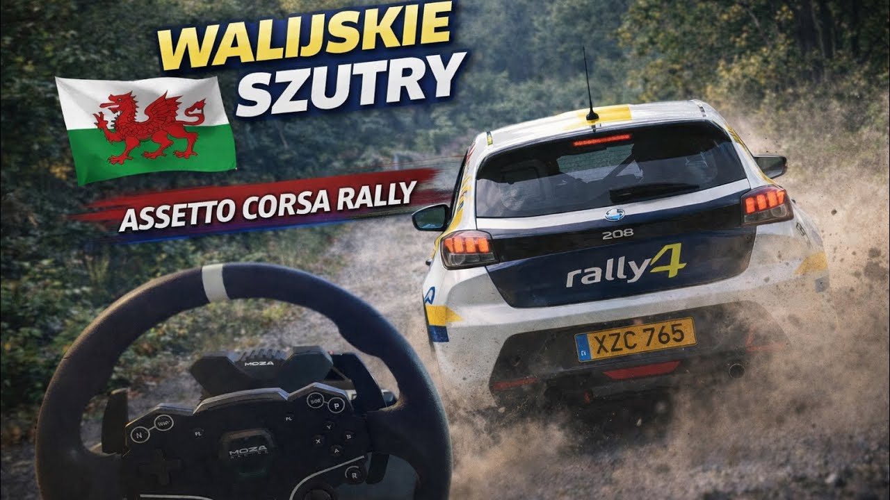 Banc Gwyn - Afon Biga | Peugeot 208 Rally4 | 