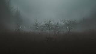 Vivaldi - Winter III (Space Sounds)