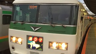 185系臨時特急踊り子17号乗車