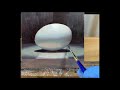 Oil painting demo - Egg in the Spotlight