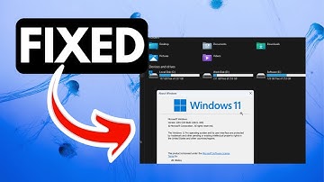 File Explorer Tabs Not Showing in Windows 11 RESOLVED