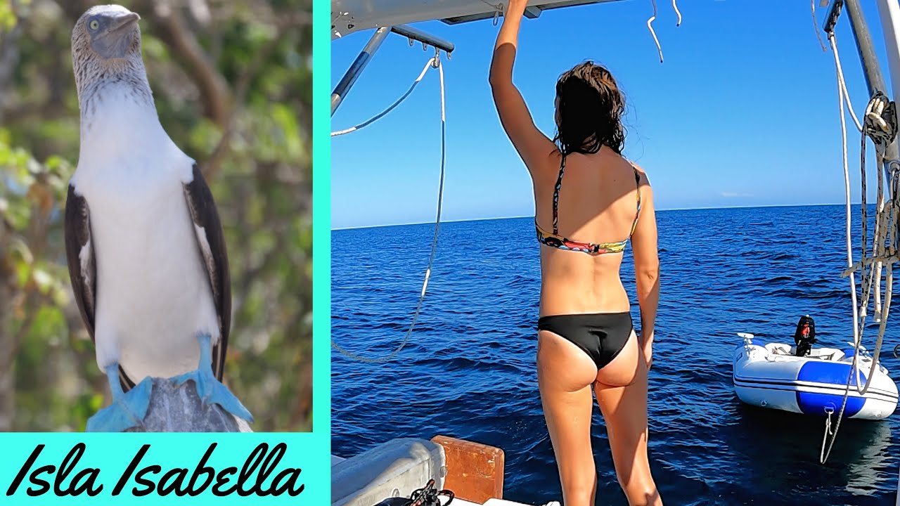 ⁣Boobies Everywhere! The Galapagos of Mexico Isla Isabella - Chuffed Adventures S05E07