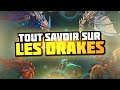 Tout savoir sur les drakes ft druzzt