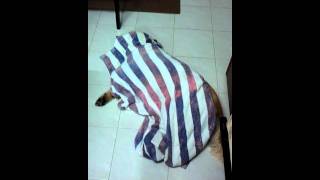 20110802 Trolle
