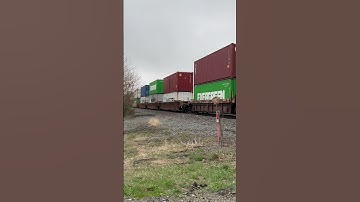 Bright CSX train passing by on a gloomy day! #train #csx #railroad #foryou #fy #fypシ #shorts #fun