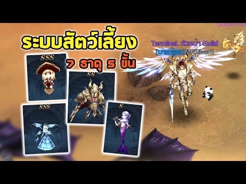 ระบบสัตว์เลี้ยง สกิลเสริมเพิ่มพลังรบ : Mu Strongest EP6