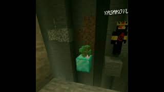 Arkadaşın Mı Yoksa Elmaslar Mı?