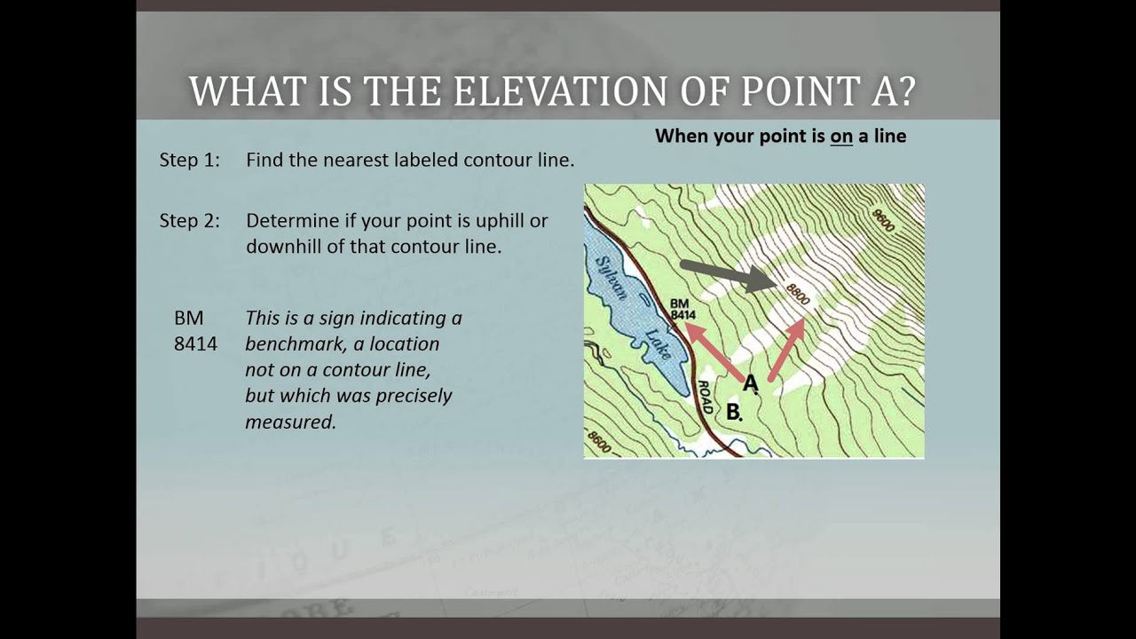 topographic elevation map