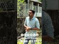 ചെടികൾ വളർത്താനും Tata Wiron Chain link fencing Site at Alapuzha