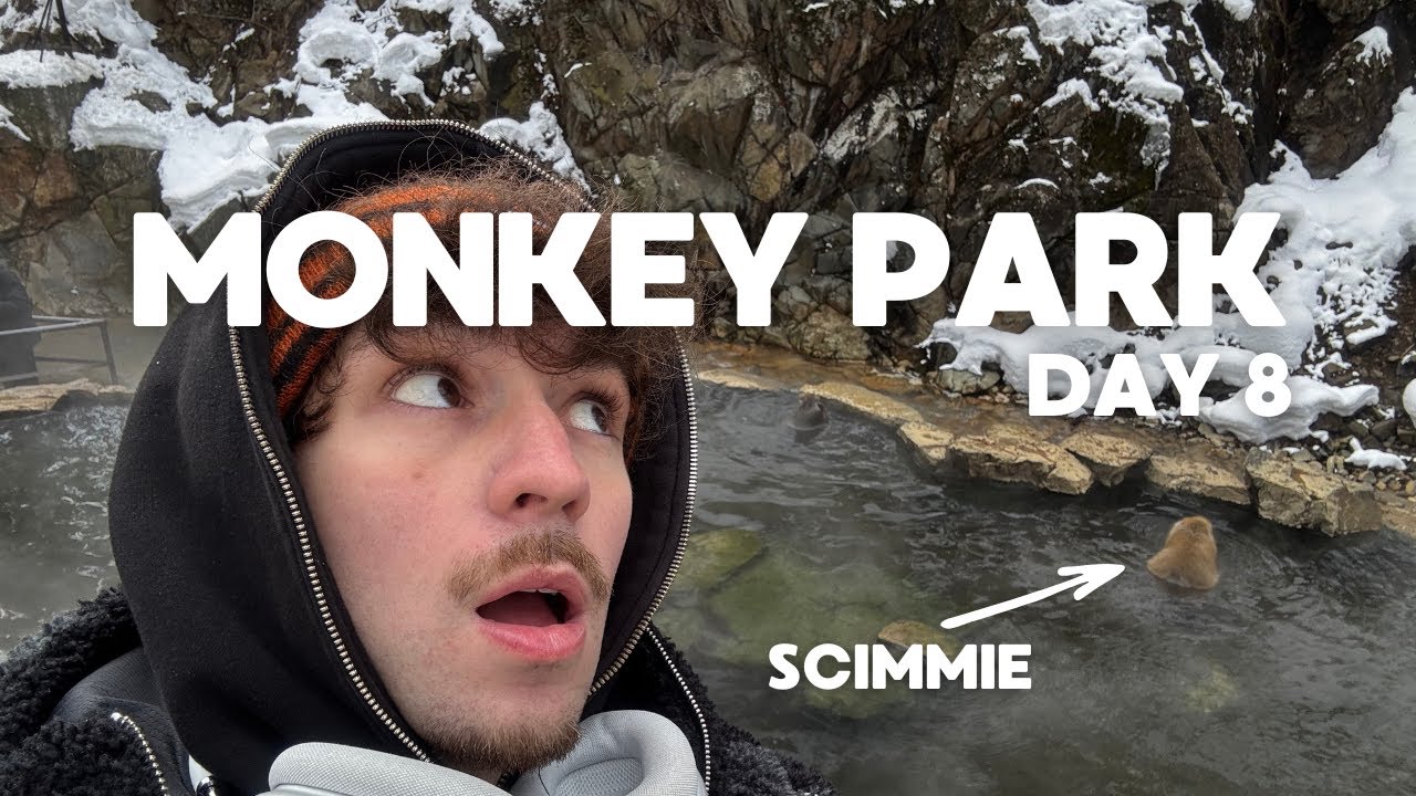 RINCORSO da una SCIMMIA giapponese? | Jigokudani Park | DAILY VLOG 8