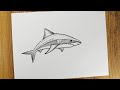 How to draw Tiger Sark step by step | Pencil sketch drawing Sark
