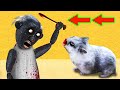 🐹😱GRANNY Hamster Obstacle Course  Maze with Traps 😱 + Cartoon Cat